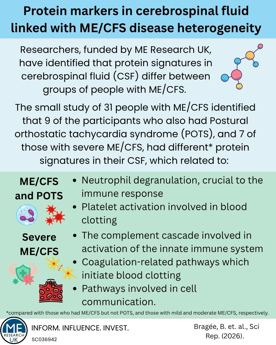 Protein markers in cerebrospinal fluid linked with ME/CFS disease heterogeneity  Researchers, funded by ME Research UK, have identified that protein signatures in cerebrospinal fluid (CSF) differ between groups of people with ME/CFS. The small study of 31 people with ME/CFS identified that 9 of the participants who also had Postural orthostatic tachycardia syndrome (POTS), and 7 of those with severe ME/CFS, had different* protein signatures in their CSF, which related to:   M E/CFS and POTS 4 .* Severe M E/CFS  ci9,5:Yo  • Neutrophil degranulation, crucial to the immune response • Platelet activation involved in blood clotting • The complement cascade involved in activation of the innate immune system • Coagulation-related pathways which initiate blood clotting • Pathways involved in cell communication.  *compared with those who had ME/CFS but not POTS, and those with mild and moderate ME/CFS, respectively.   INFORM. INFLUENCE. INVEST.  SCO36942  Bragee, B. et. al., Sci Rep. (2026).