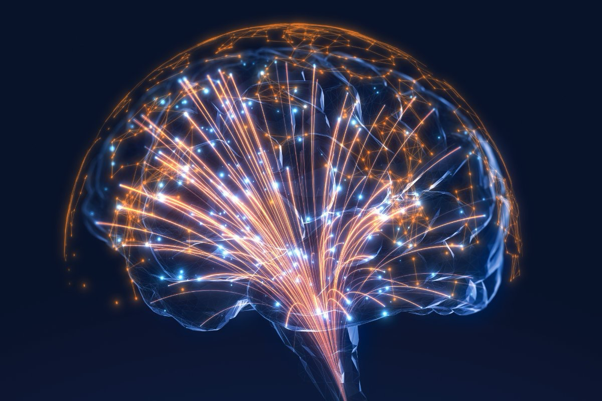 Image of a brain