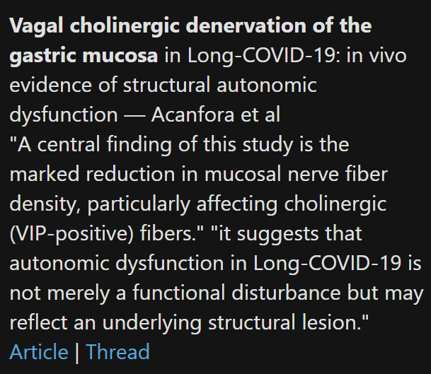 Vagal cholinergic denervation of the gastric mucosa in Long-COVID-19: in vivo evidence of structural autonomic dysfunction — Acanfora et al
"A central finding of this study is the marked reduction in mucosal nerve fiber density, particularly affecting cholinergic (VIP-positive) fibers." "it suggests that autonomic dysfunction in Long-COVID-19 is not merely a functional disturbance but may reflect an underlying structural lesion."
Article | Thread